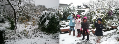 2010-12-31.jpg