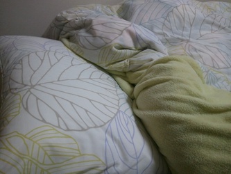 2011-01-30.jpg