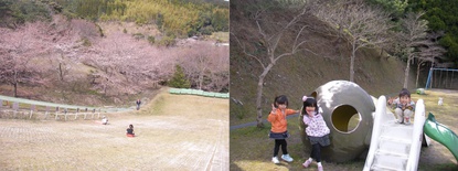 2011-03-27.jpg
