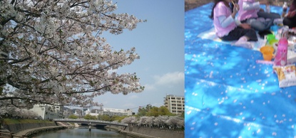 2011-04-09.jpg