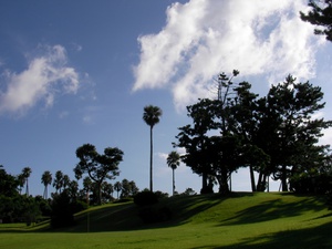 2011-06-28.jpg