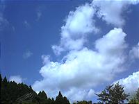 2004-07-21.JPG