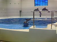 2005-10-15.jpg