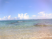 2006-07-27.jpg