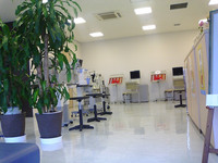 2006-08-30.jpg