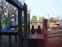 2006-10-28-4.jpg