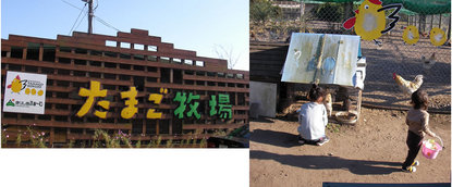 2007-11-03.jpg